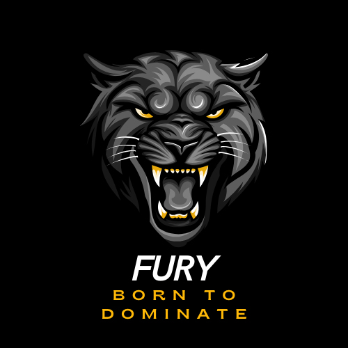 Fury